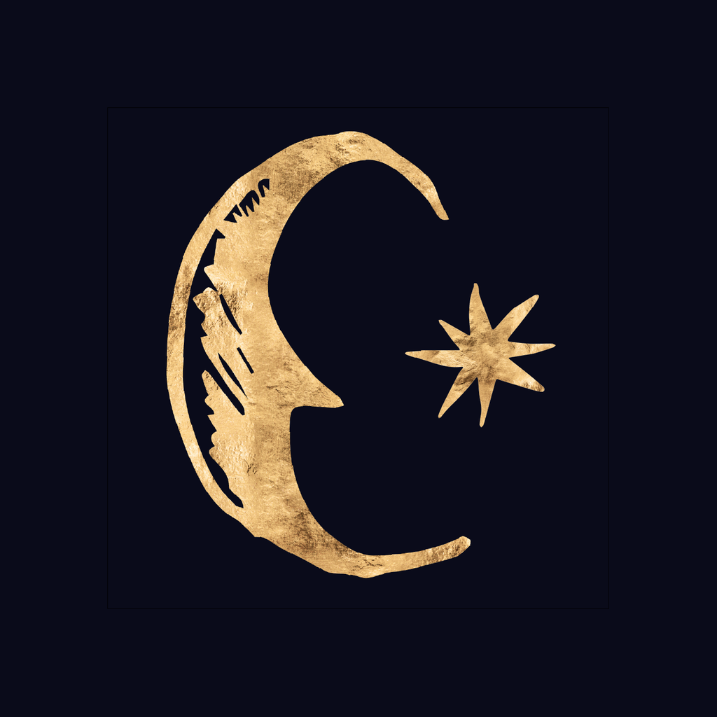 Rebel Spirit Astrology logo