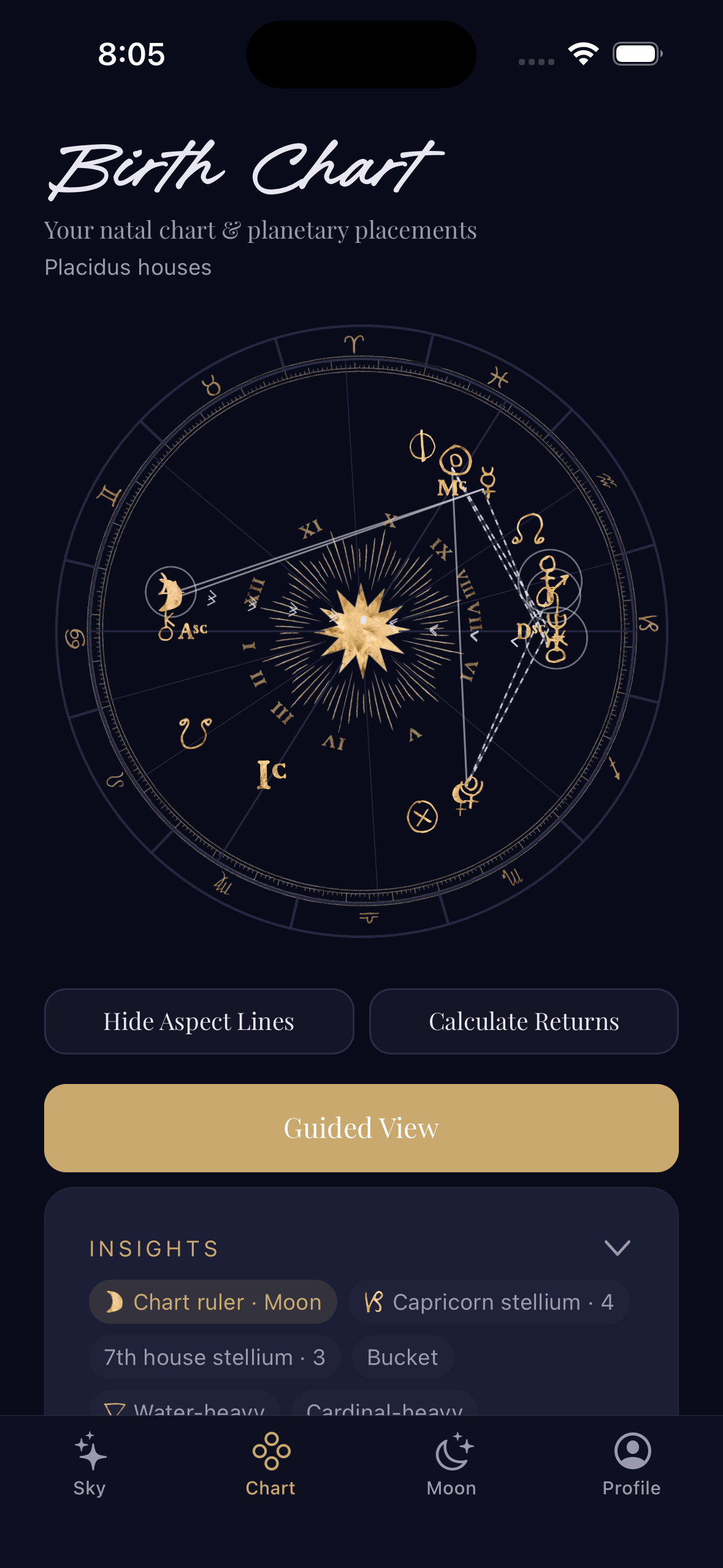 Rebel Spirit Astrology birth chart view with planetary placements